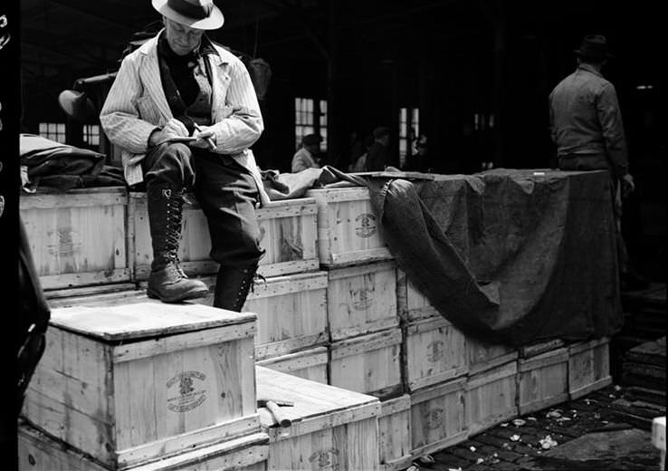 Fulton Fish Market: packing for retail, 1938.