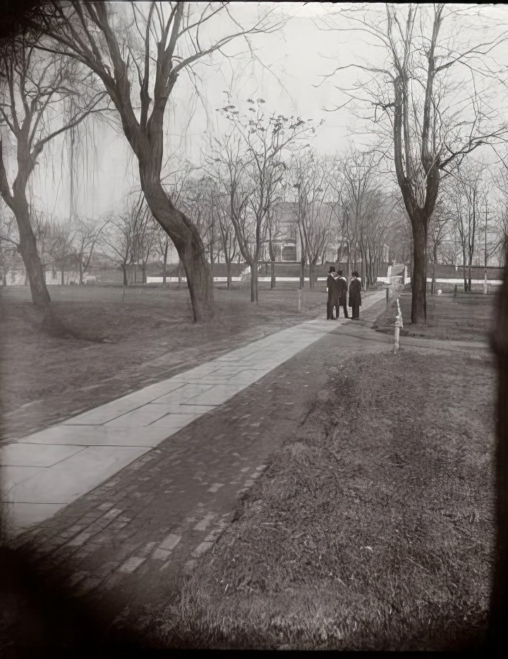 Blackwell's Island: View from the superintendent's cottage, 1891.