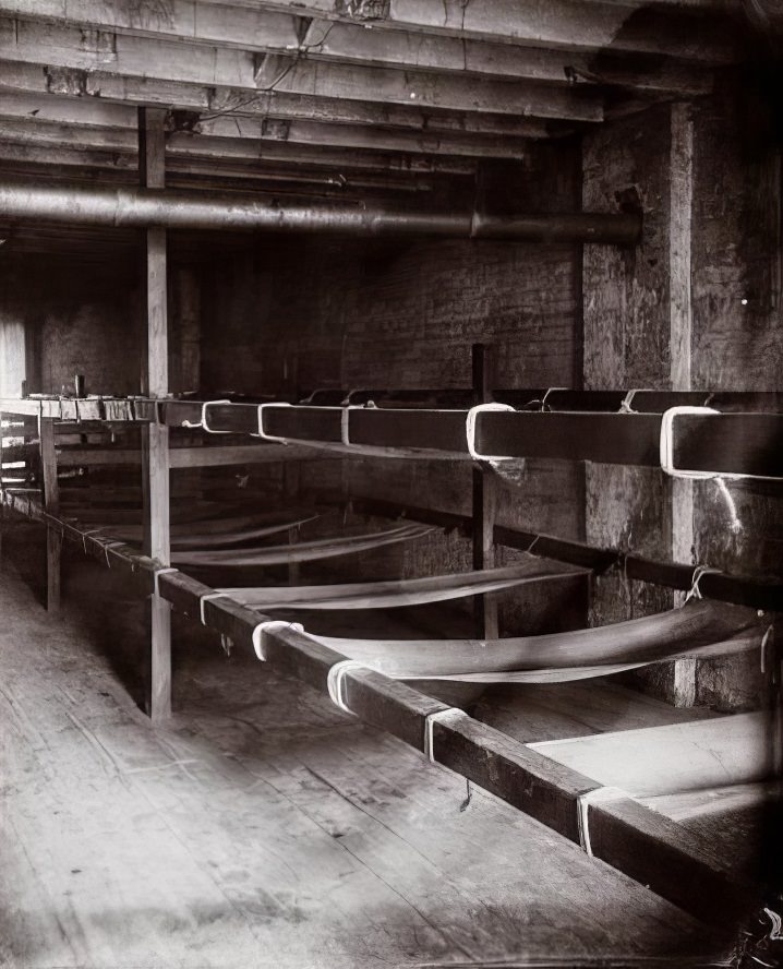 Bunks in a Seven-Cent Lodging House, Pell Street, 1894.