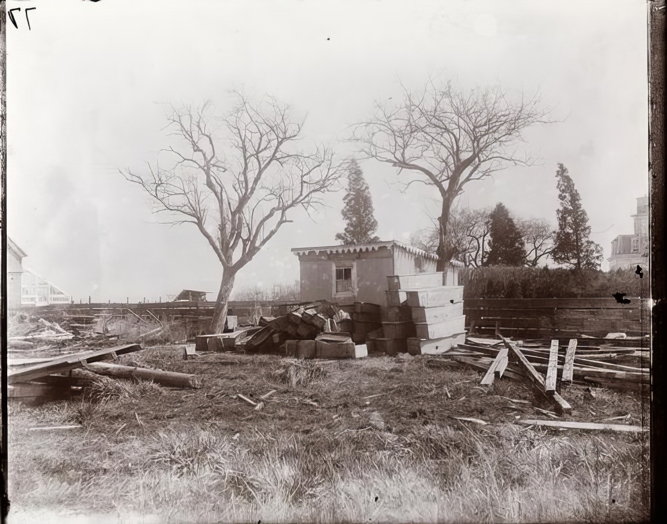 North Brother Island—"The coffin corner," 1891.