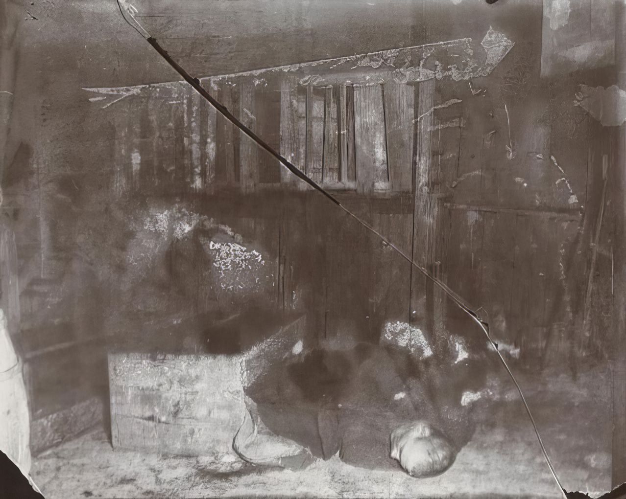 A tramp's nest in Ludlow Street, 1894.