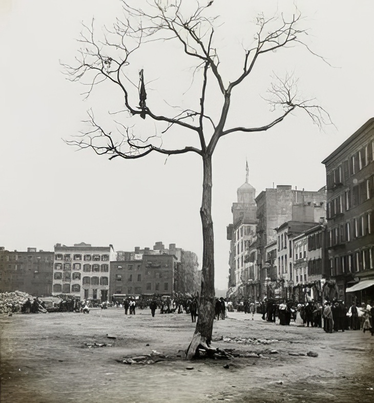 A street and vacant lot, 1895.