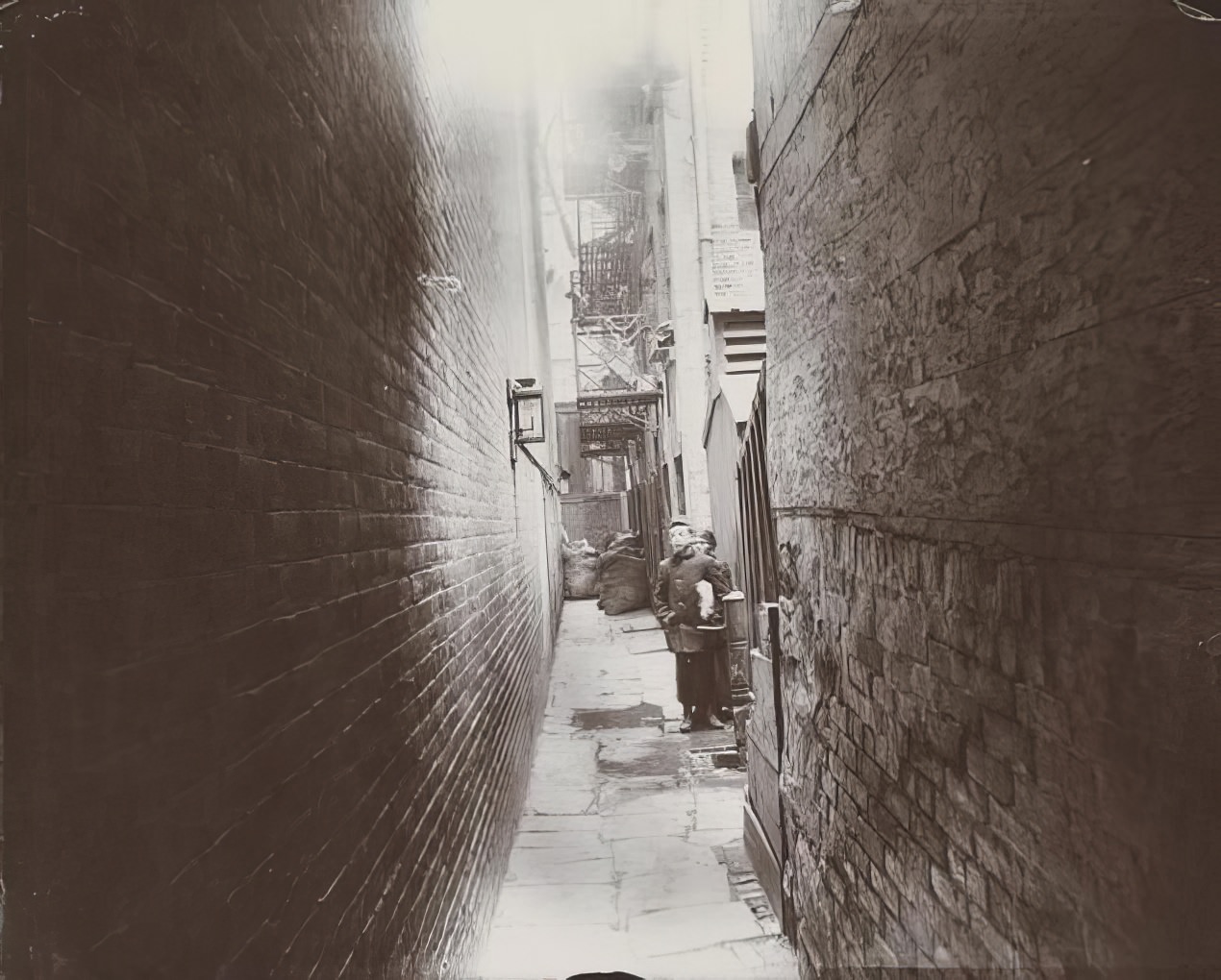 Nibsy's Alley at 47 1/2 Crosby Street, 1891.