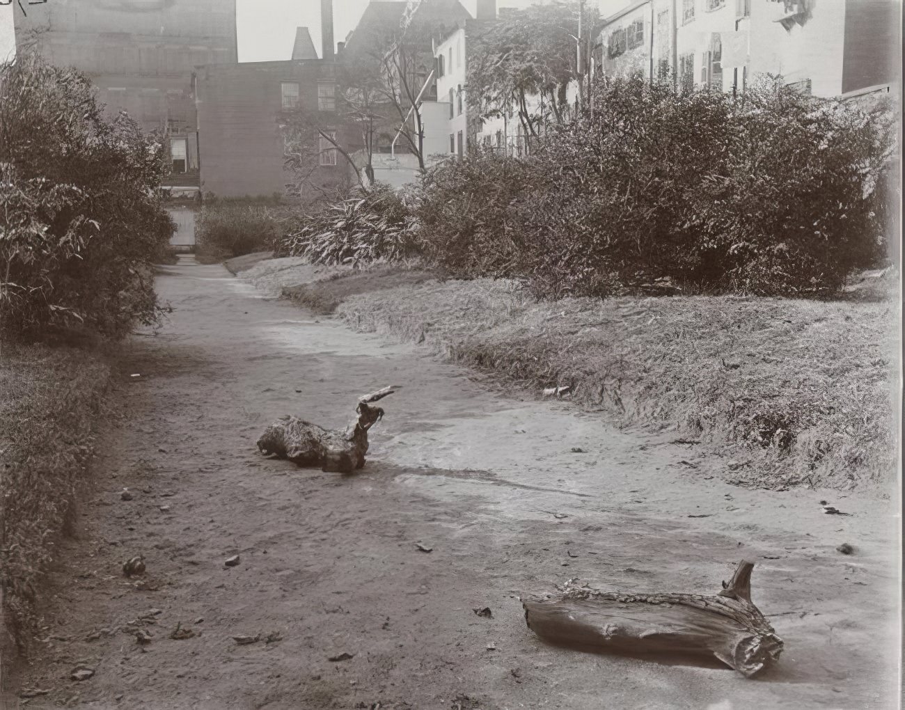 The Old Marble Cemetery, proposed for a playground, 1895.