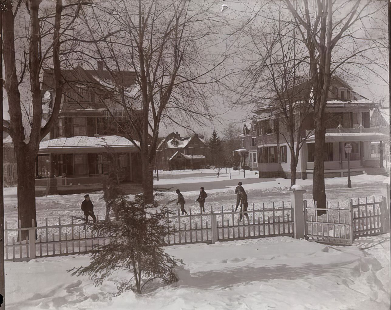 Winter at Richmond Hill, 1891.