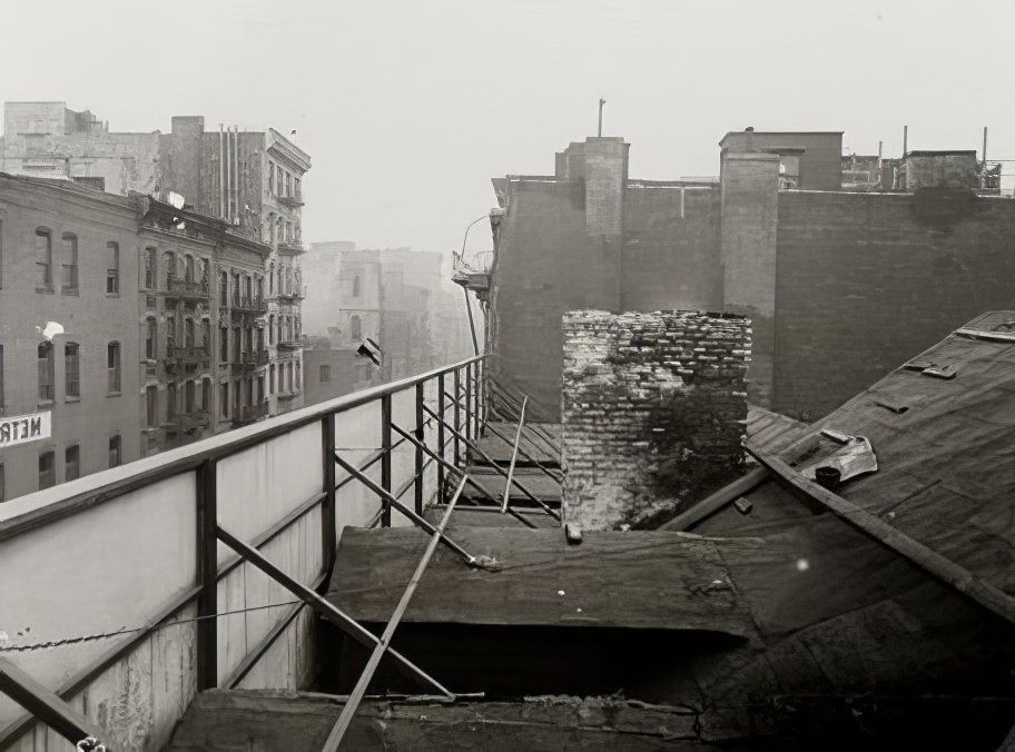 A rooftop, 1895.