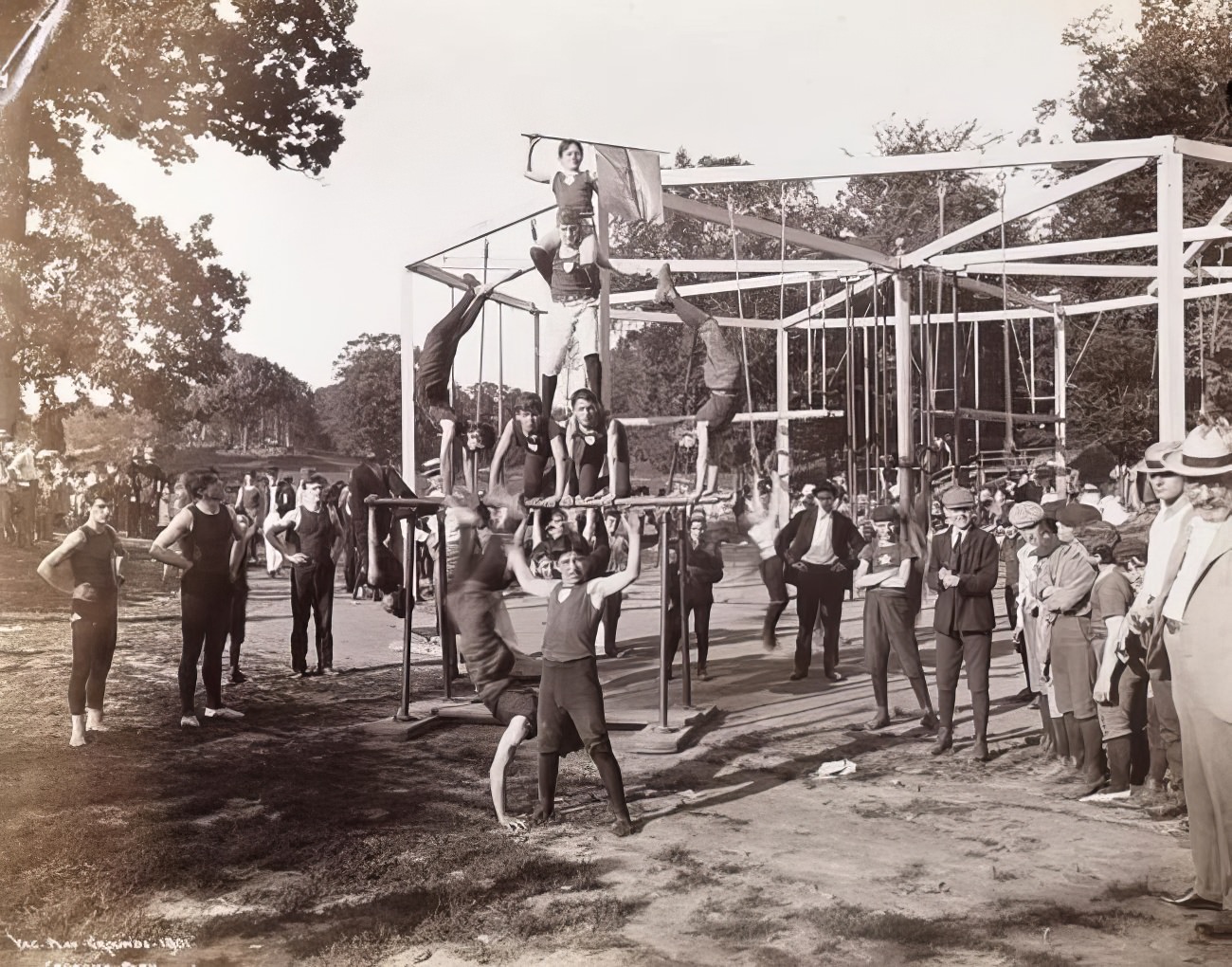 Vacation playgrounds in Crotona Park, 1901.