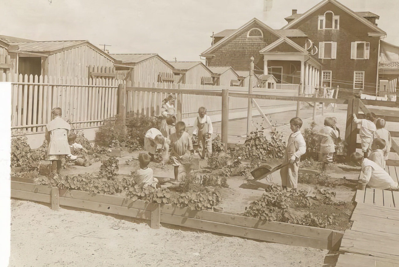 Children tending a garden, 1895.