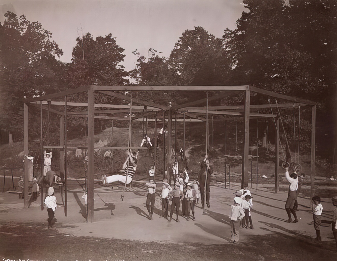 Open-air gymnasium, Crotona Park, 1901.