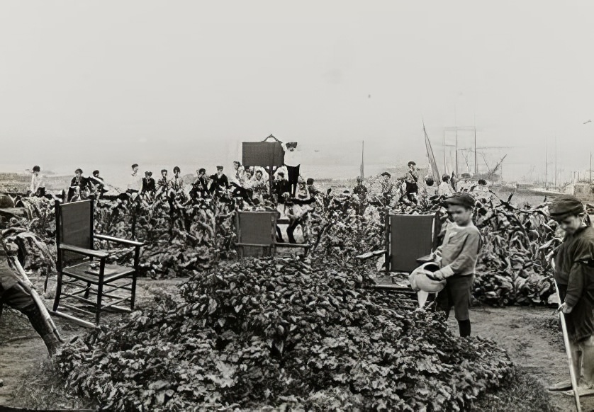 Children's farm school, 1902.