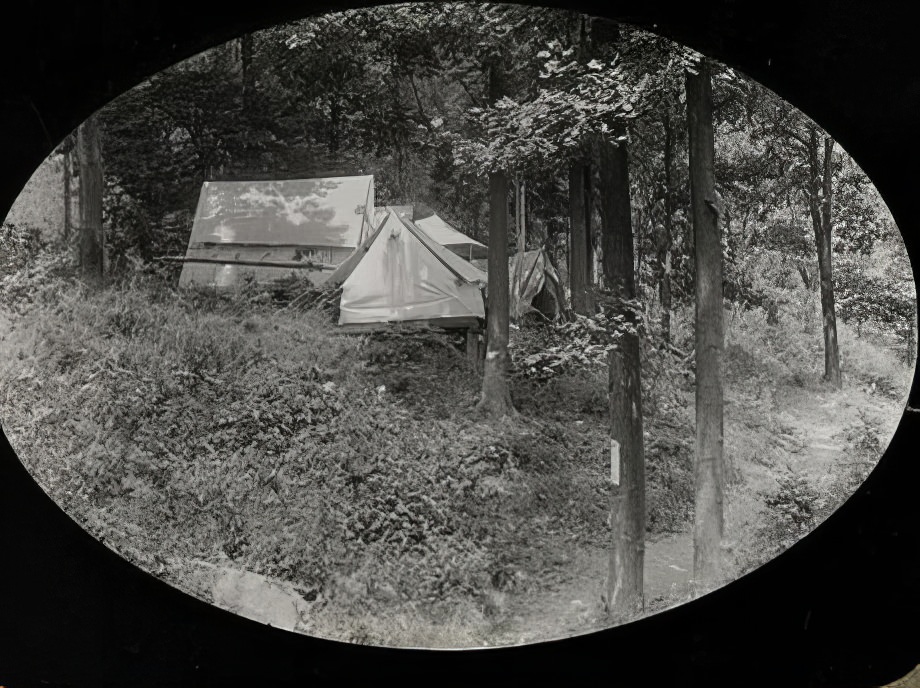 Pitched tents in the woods, circa 1914.