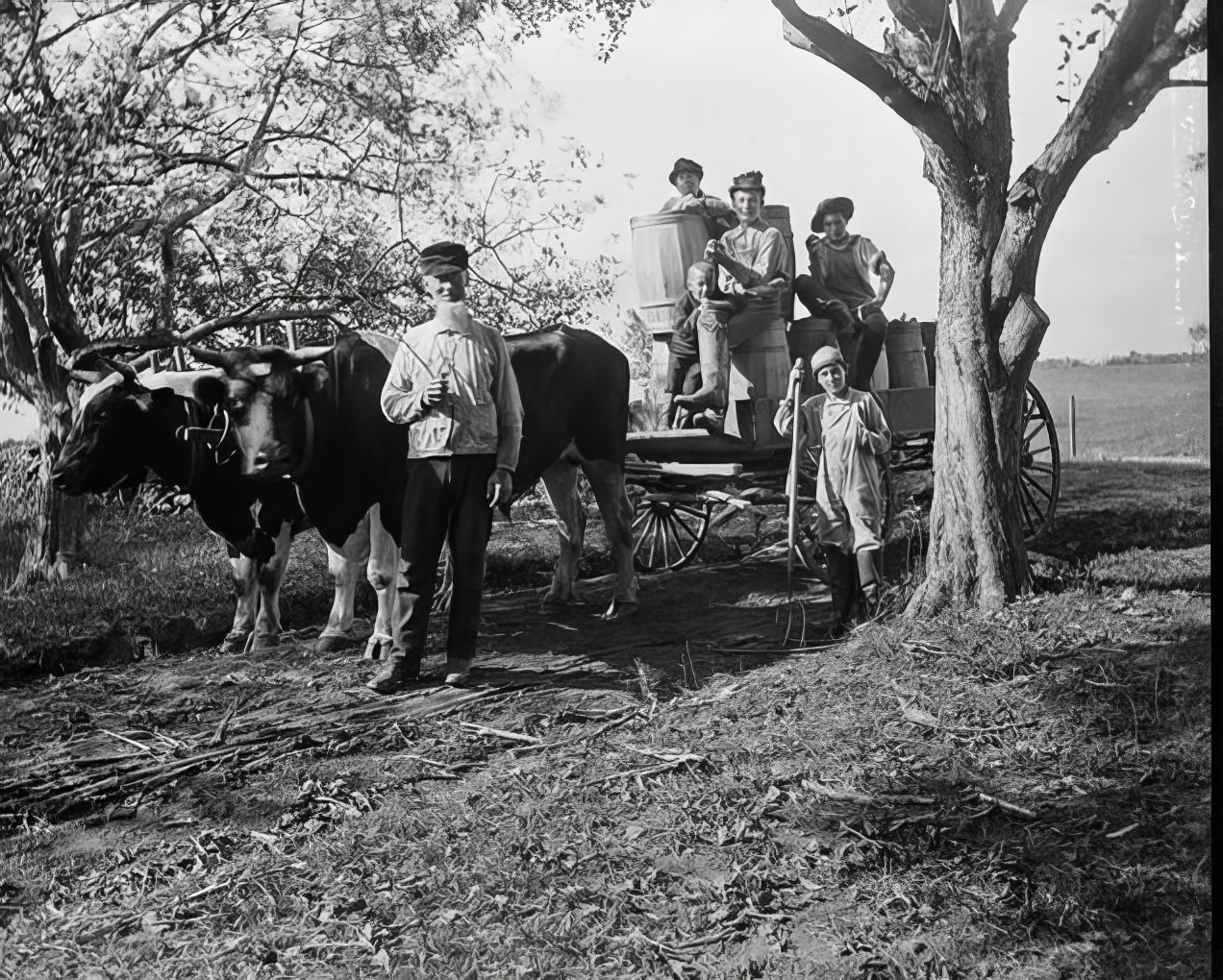 Children bringing in the apple crop, 1894.