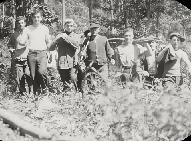 Boys and a farmer in the woods, 1914.