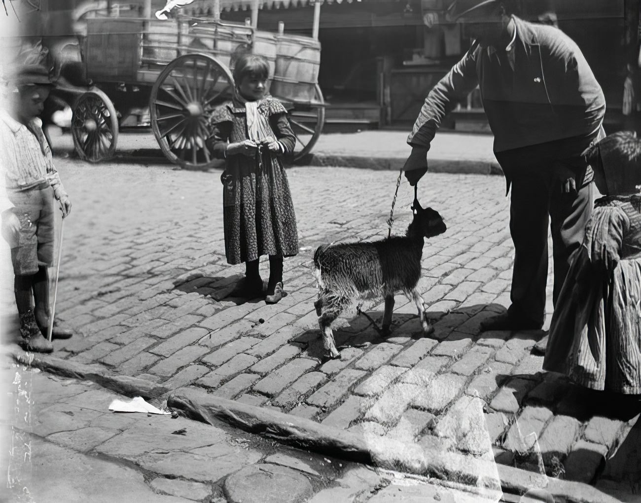 A denizen of the Bend, 1895.