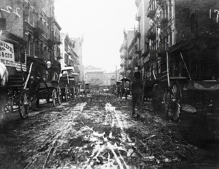 Willett Street, 1890s.