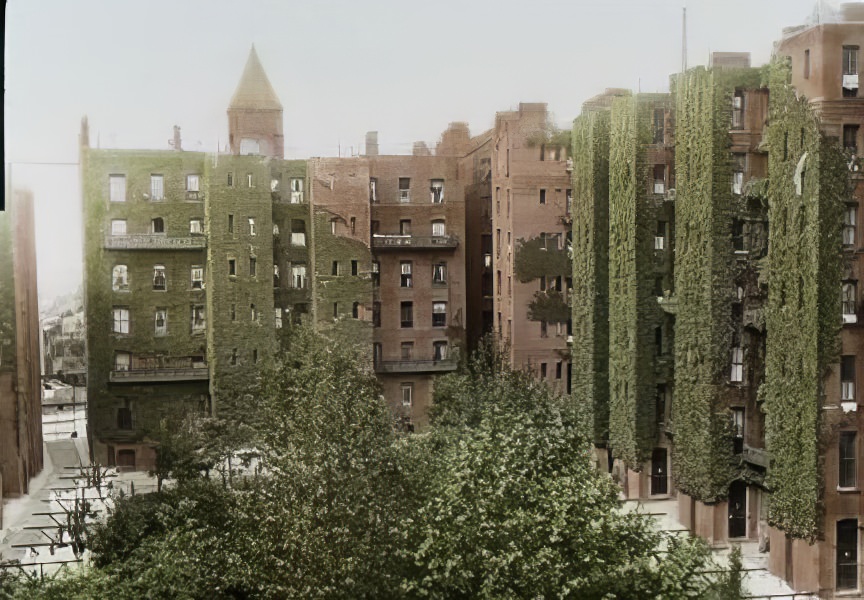 An interior court at Riverside Buildings, Brooklyn, summer, 1890s.