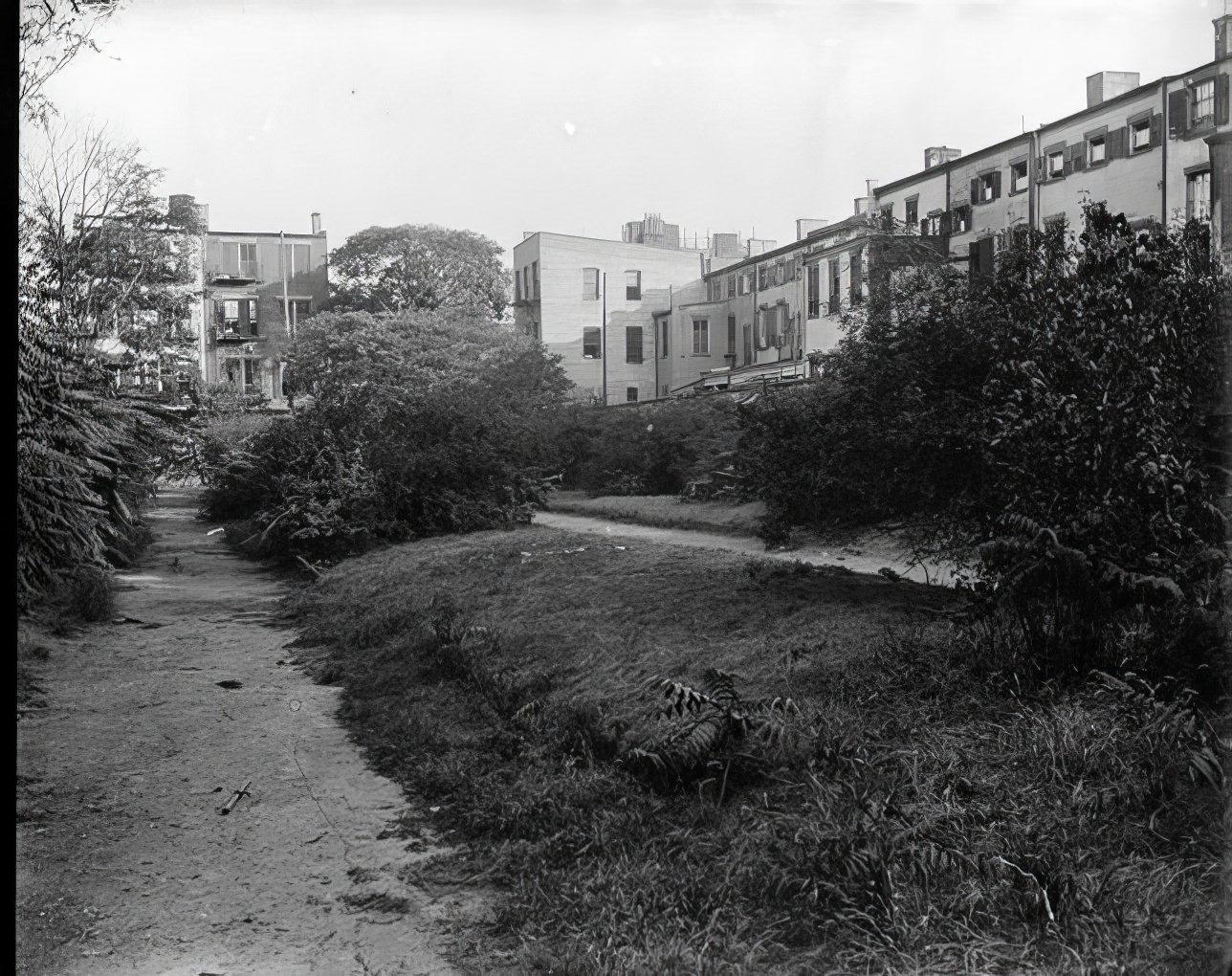 Old Marble Cemetery, 1895.