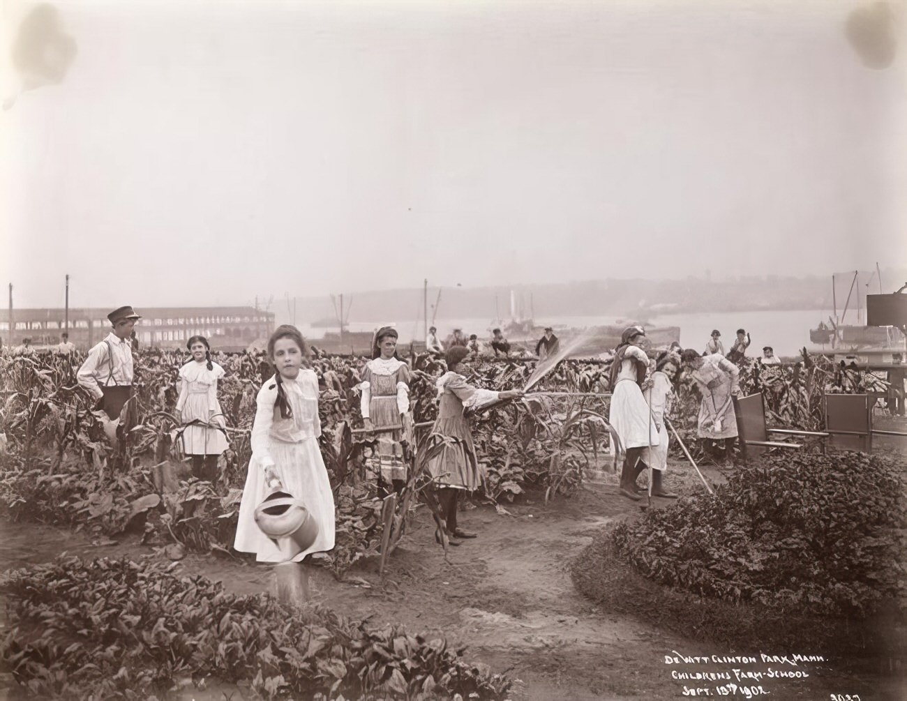 Children's Farm-School, DeWitt Clinton Park, 1902.