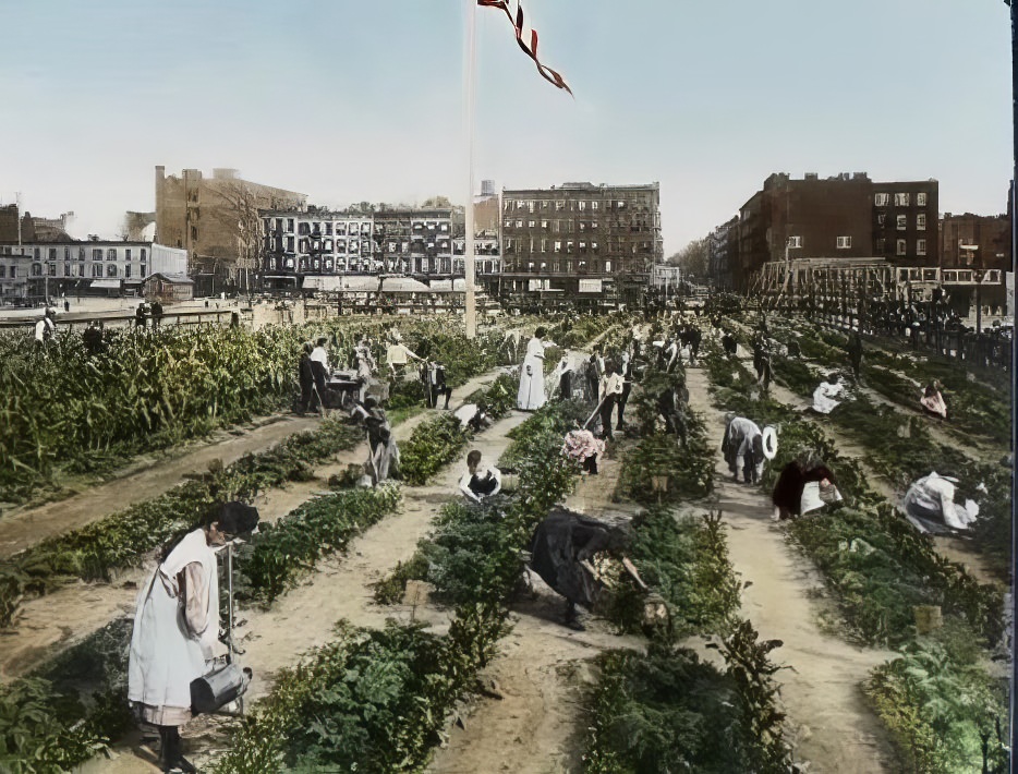 Children tending a garden, 1900s.