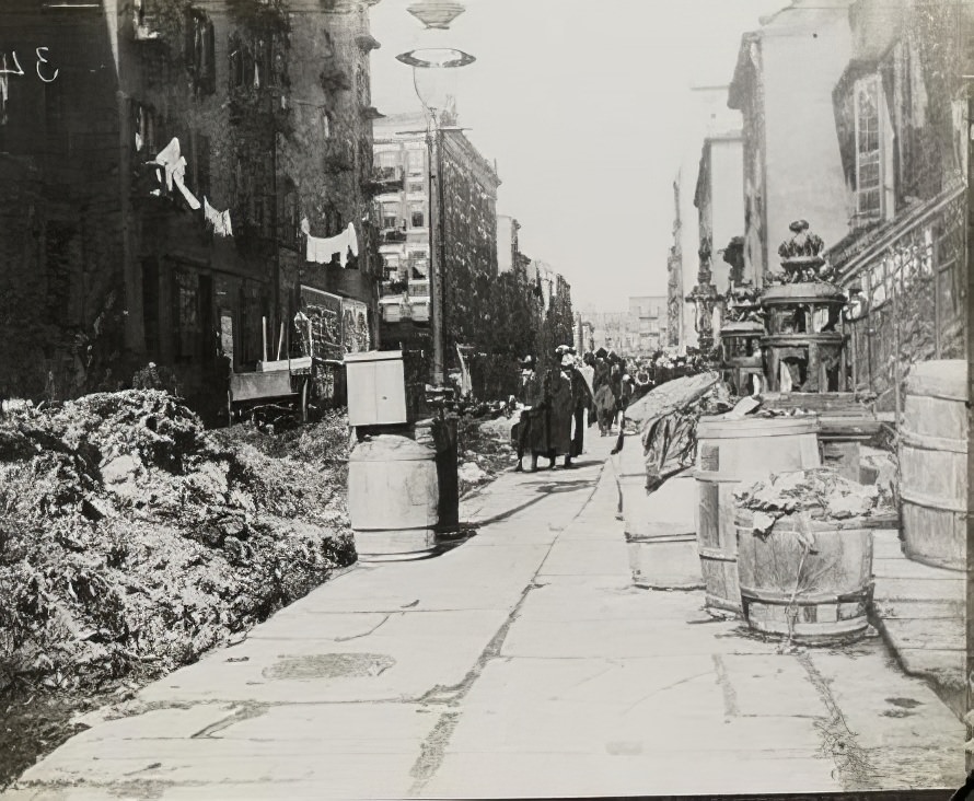 Tammany Street cleaning, 1890s.