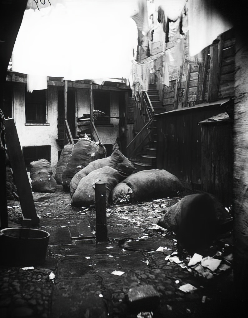 Bottle Alley, Baxter Street, 1891.