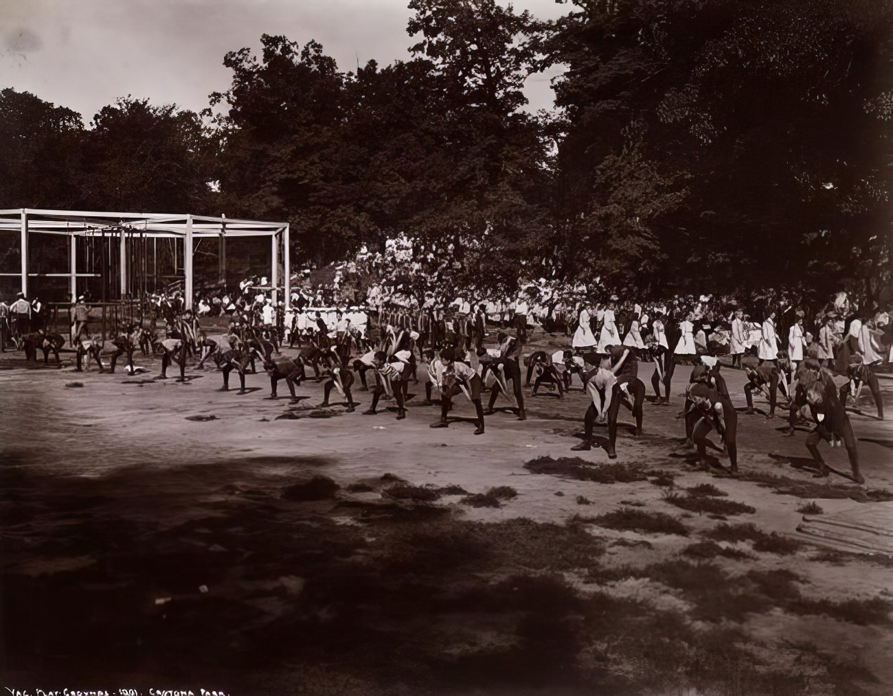 Vacation play grounds, Crotona Park, 1901.