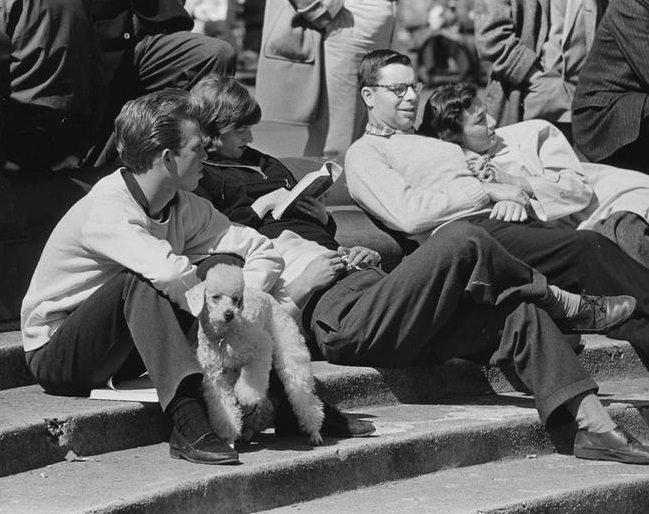 A French poodle on the fountain steps, Washington Square Park, 1956.