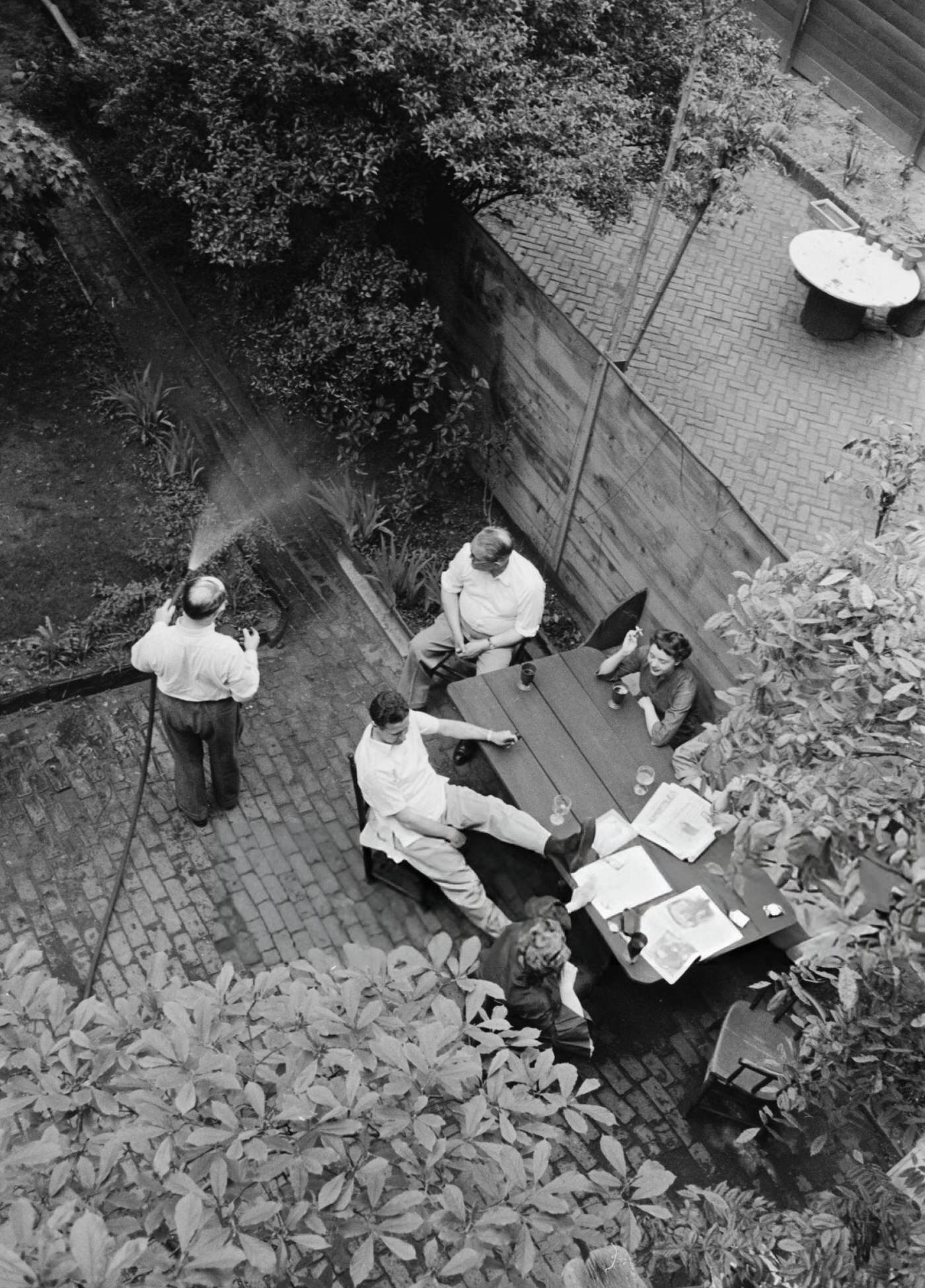 A private garden in Greenwich Village, 1954.