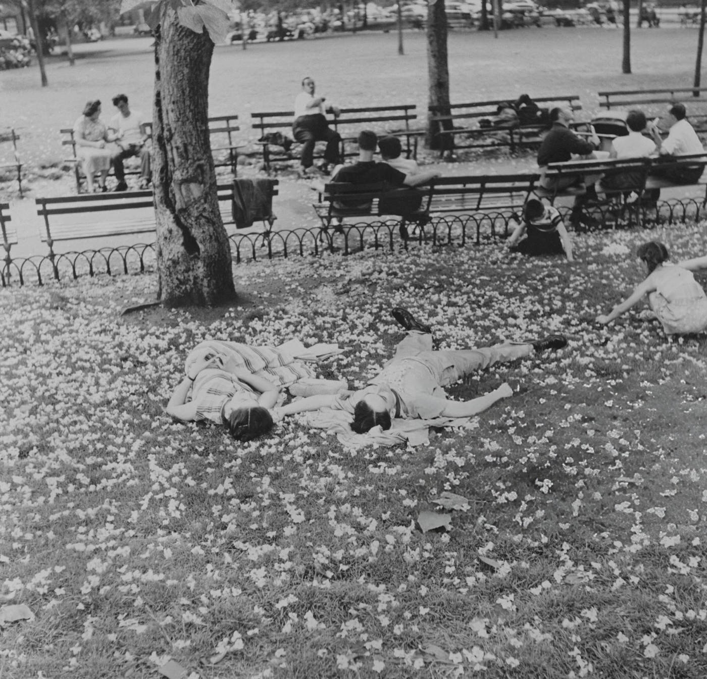 People lying on the grass in Washington Square Park, 1955.