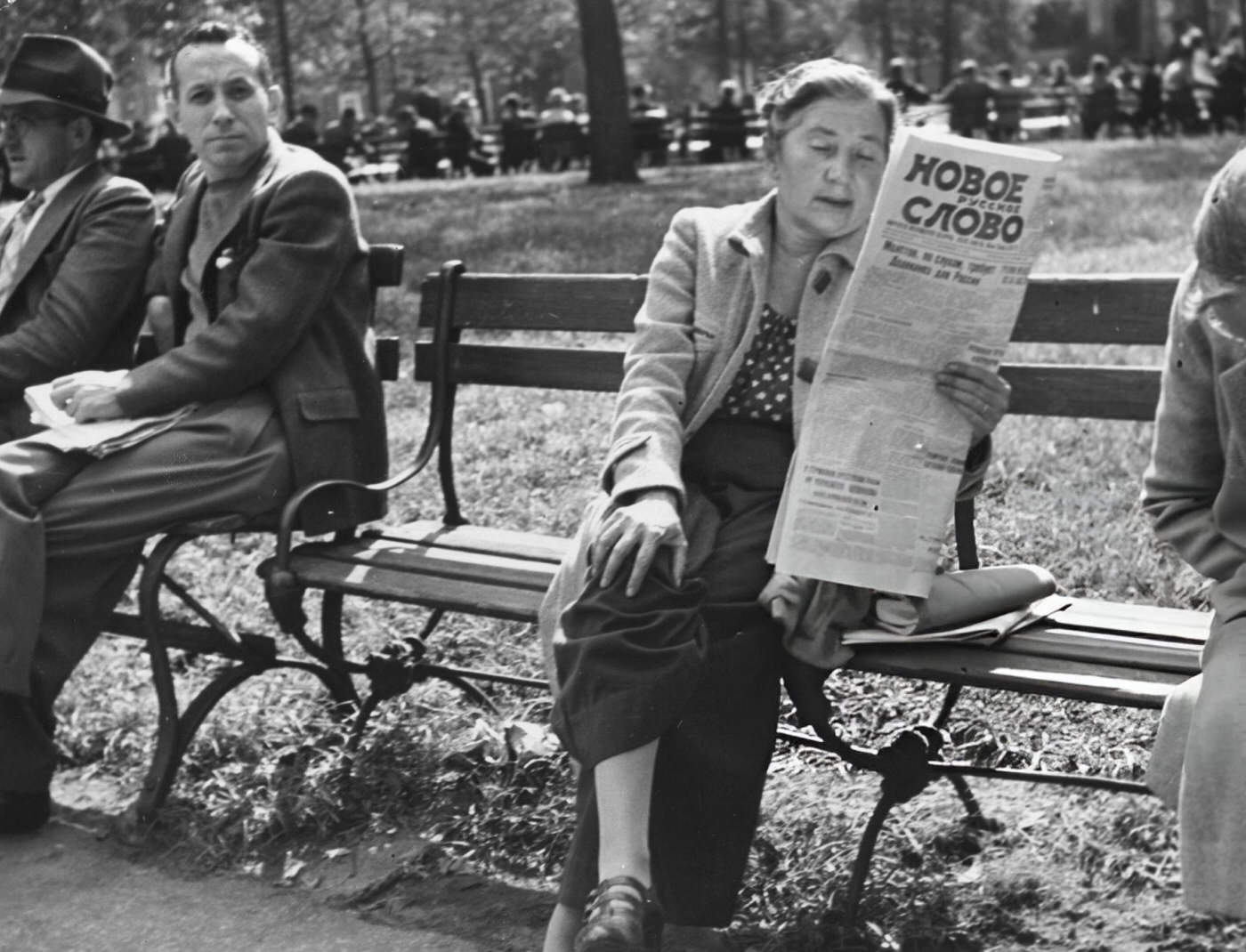 A woman reading a newspaper in Washington Square Park, 1955.