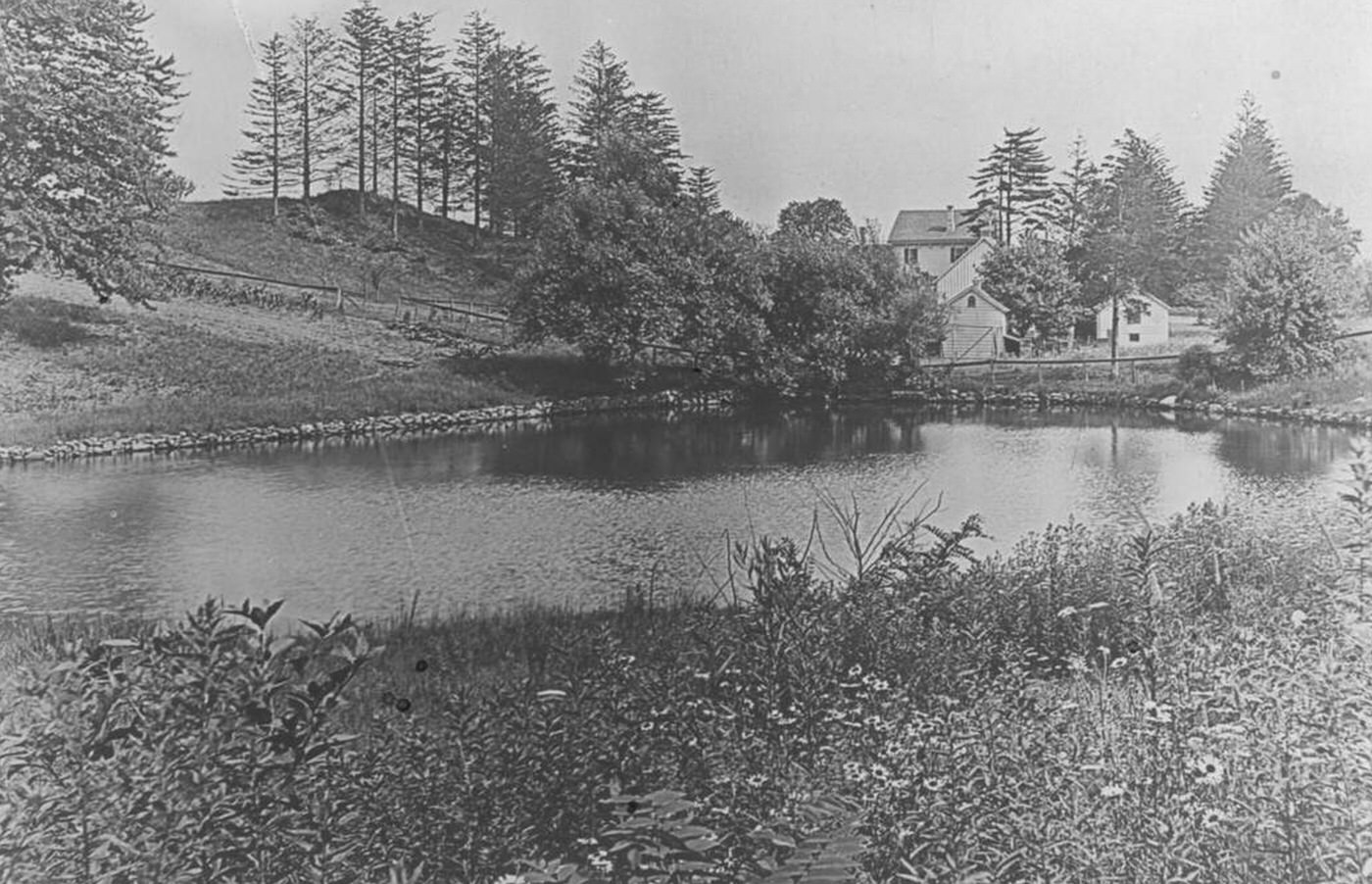 A pond and weekend houses on Todt Hill in Richmond County, Staten Island, New York City, 1907.