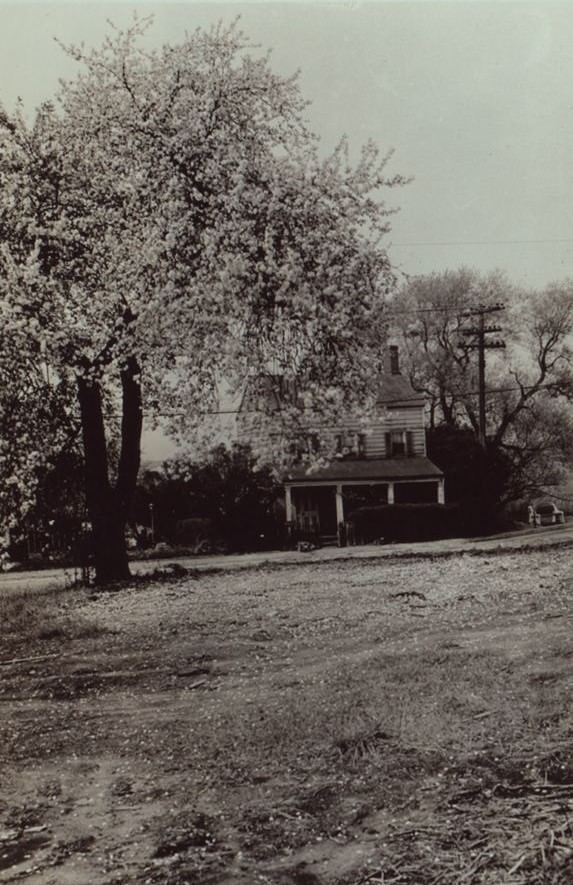 Richmond: Arthur Kill Road and Rossville Avenue.