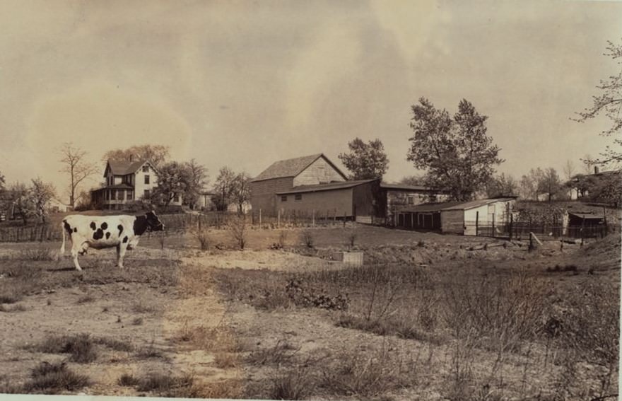 Richmond: Barry Street and Rossville Avenue.