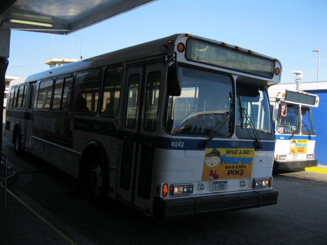NYCTA No. 6242 working route S74 at the St. George terminal, 2012.