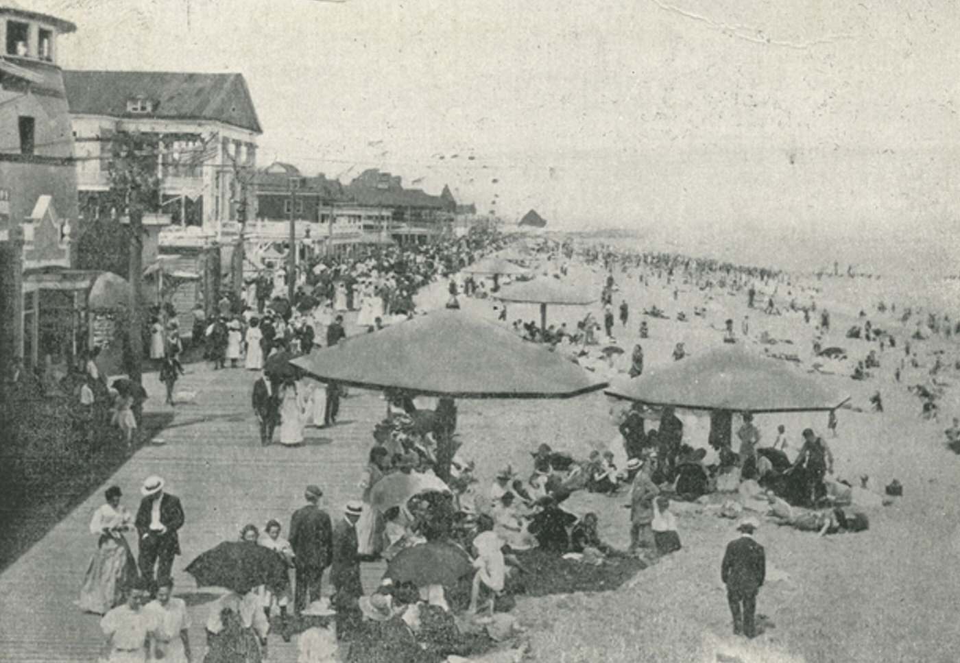 Under the Mushrooms of Midland Beach, Staten Island, 1900s