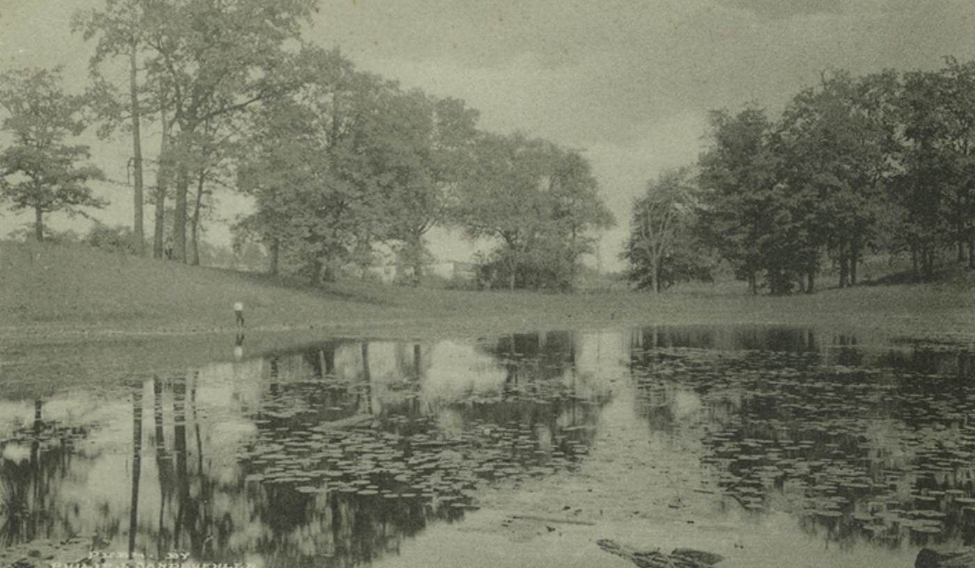 The Lily Pond, Rosebank, Richmond Borough, 1900s