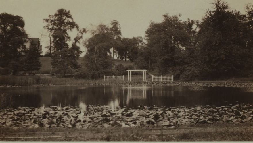 Lake Alexandria - Staten Island.