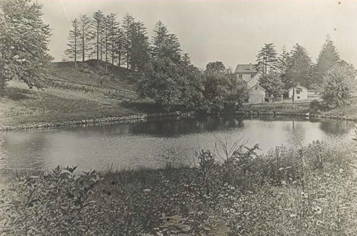A scene on Todt Hill, Richmond-Borough, S.I. 1900s