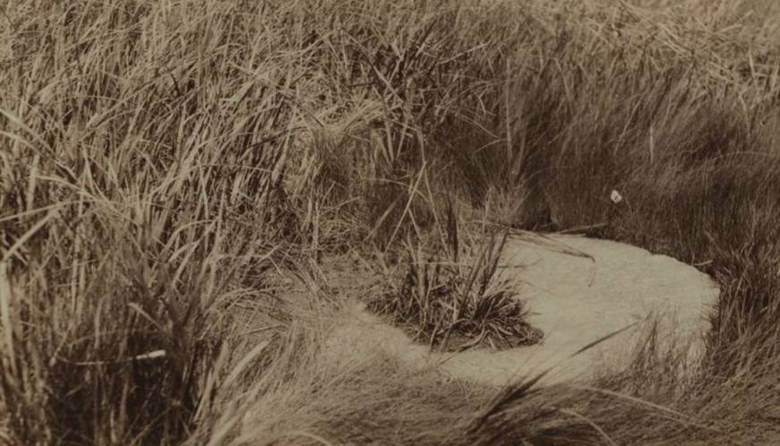 Staten Island - Oakwood Beach, 1900s.
