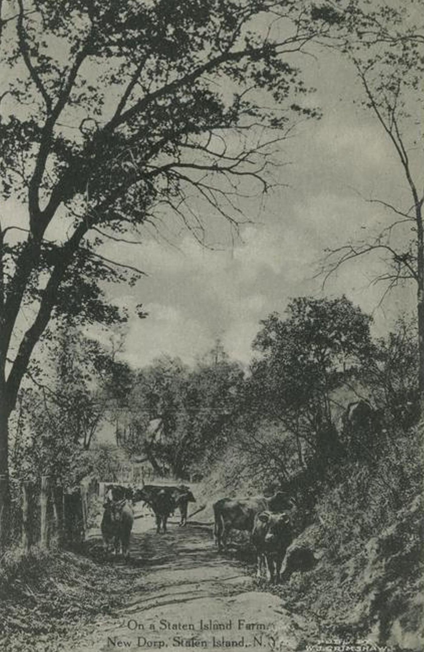 Farm in New Dorp, Staten Island, 1900s