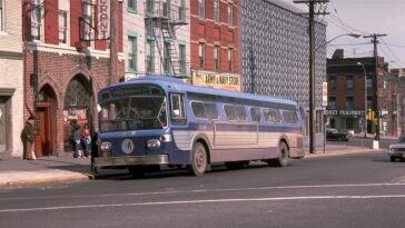 Staten Island Buses