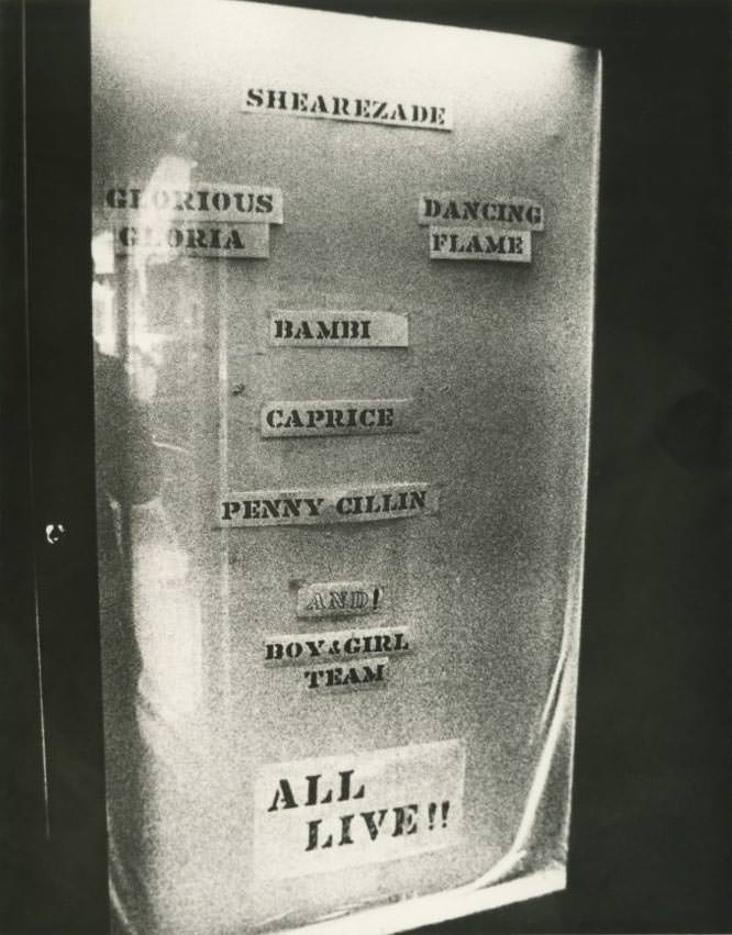 Posters, Peep Holes, and the Price of Pleasure: How Sex Was Sold on 42nd Street in the 70s and 80s