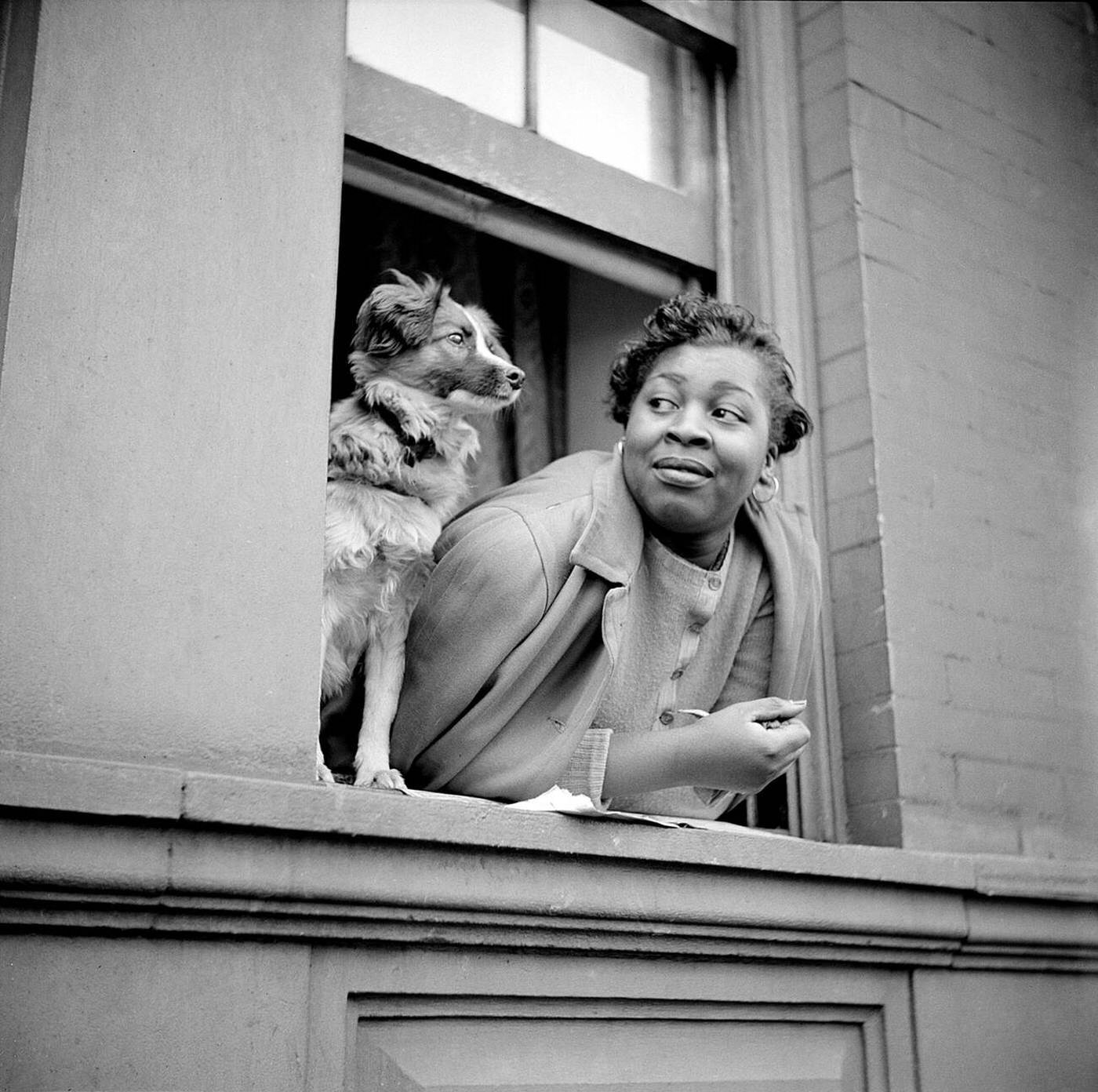 Woman with her dog leaning out of apartment window, Harlem, 1943.