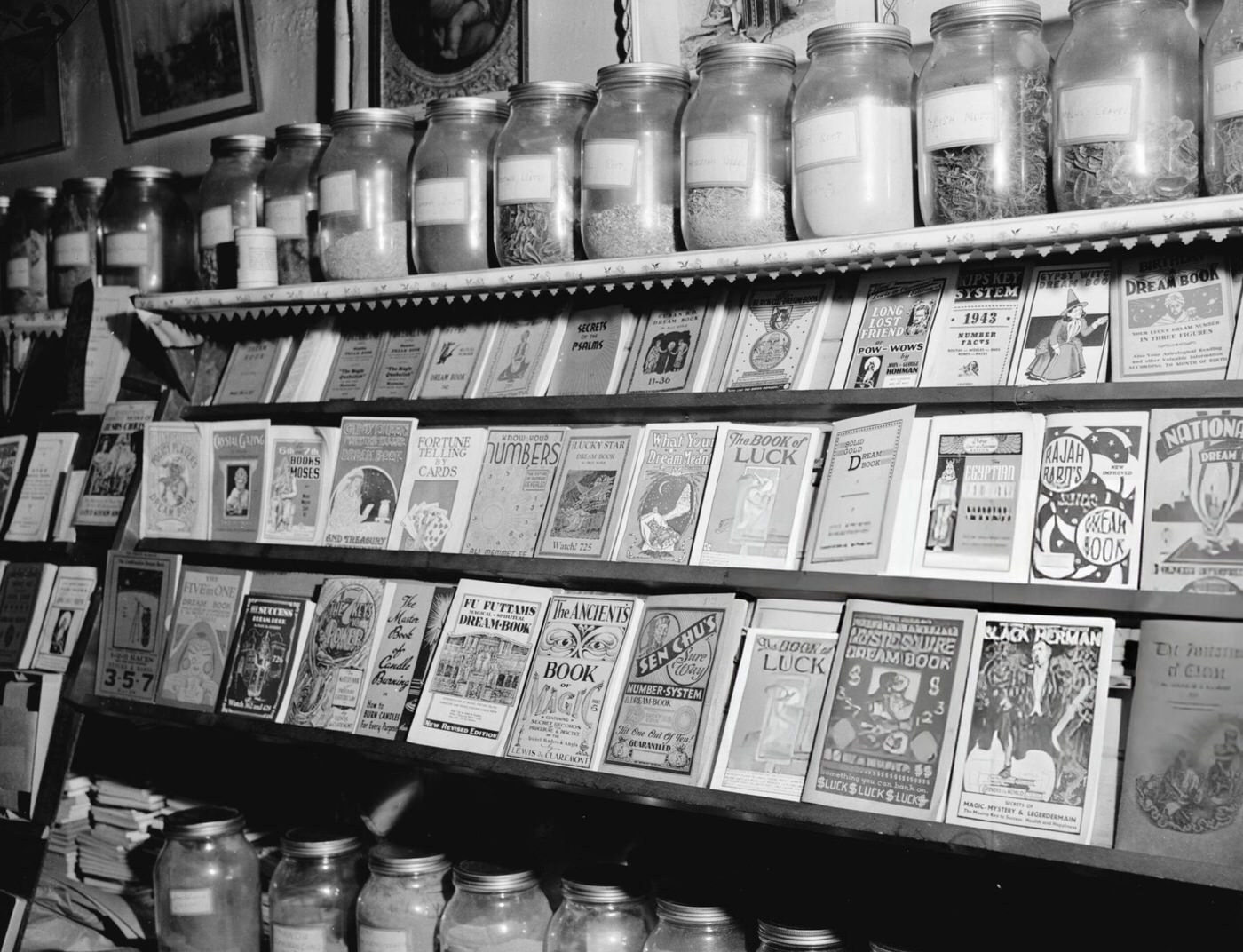 Herbs in glass bottles above rows of pamphlets about luck and magic, in a Harlem shop, 1946.