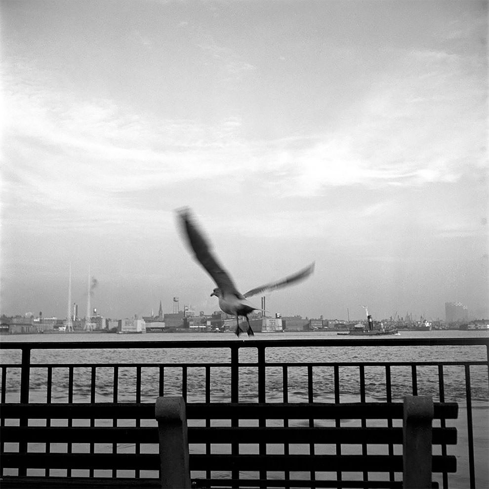 Vivian Maier's 1950s New York: Capturing the City in Motion Through Her Timeless Photography