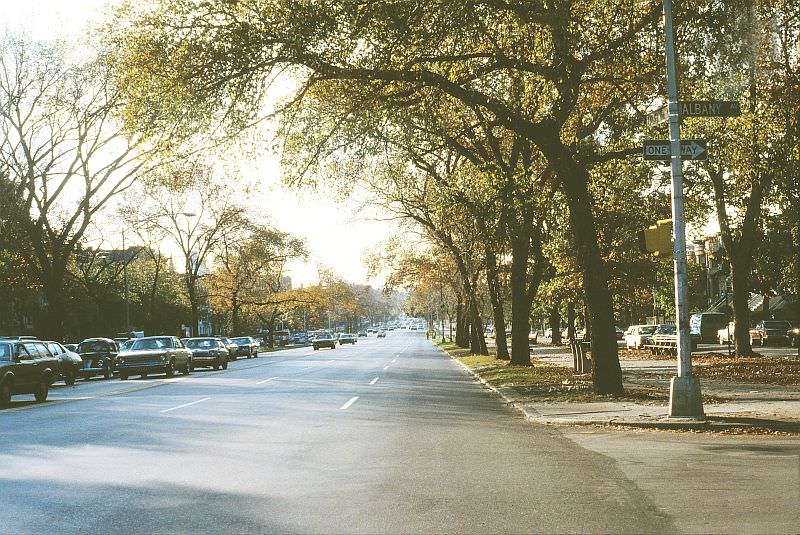 Albany Avenue and Eastern Parkway, Brooklyn.
