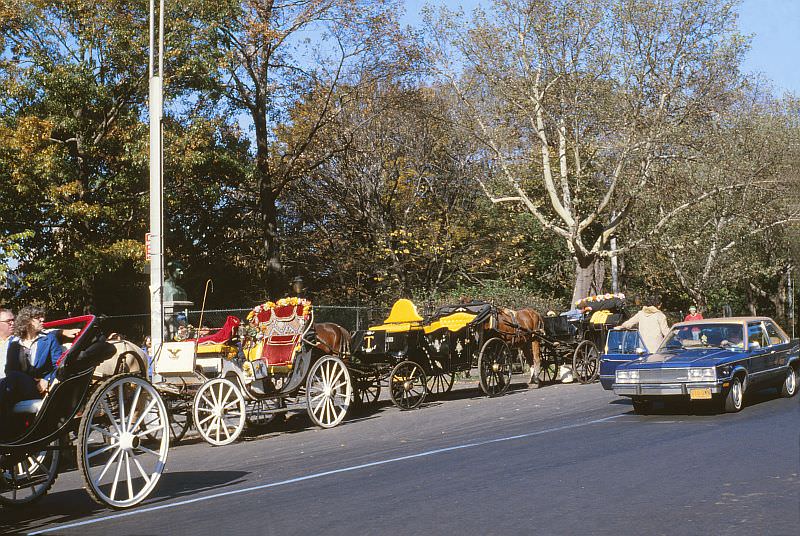 Carriages along Central Park, near Central Park South and 5th Avenue.