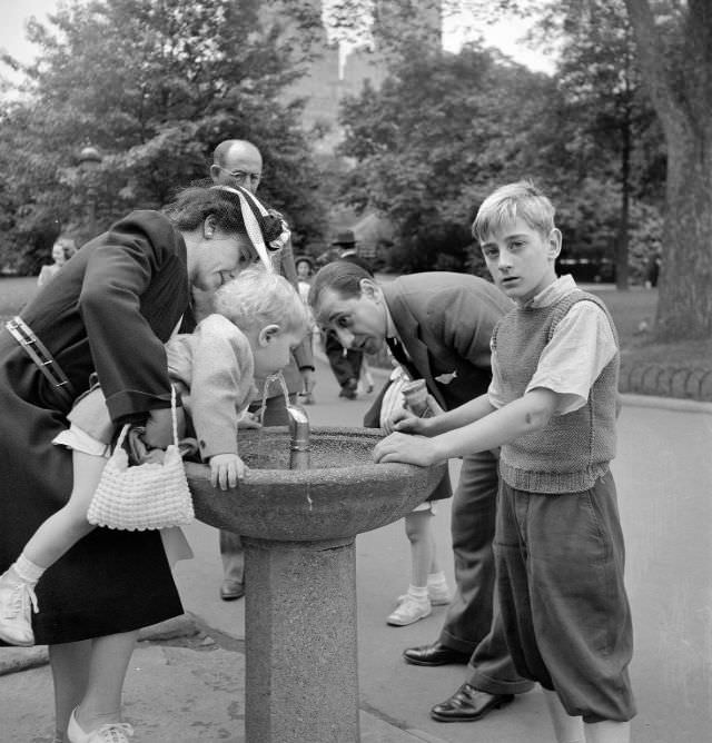 Central Park, Spring, 1972
