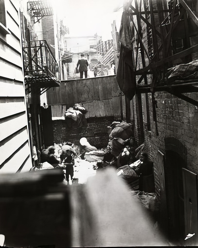 Baxter Street Alley, directly in the rear of Bandits' Roost, 1890.
