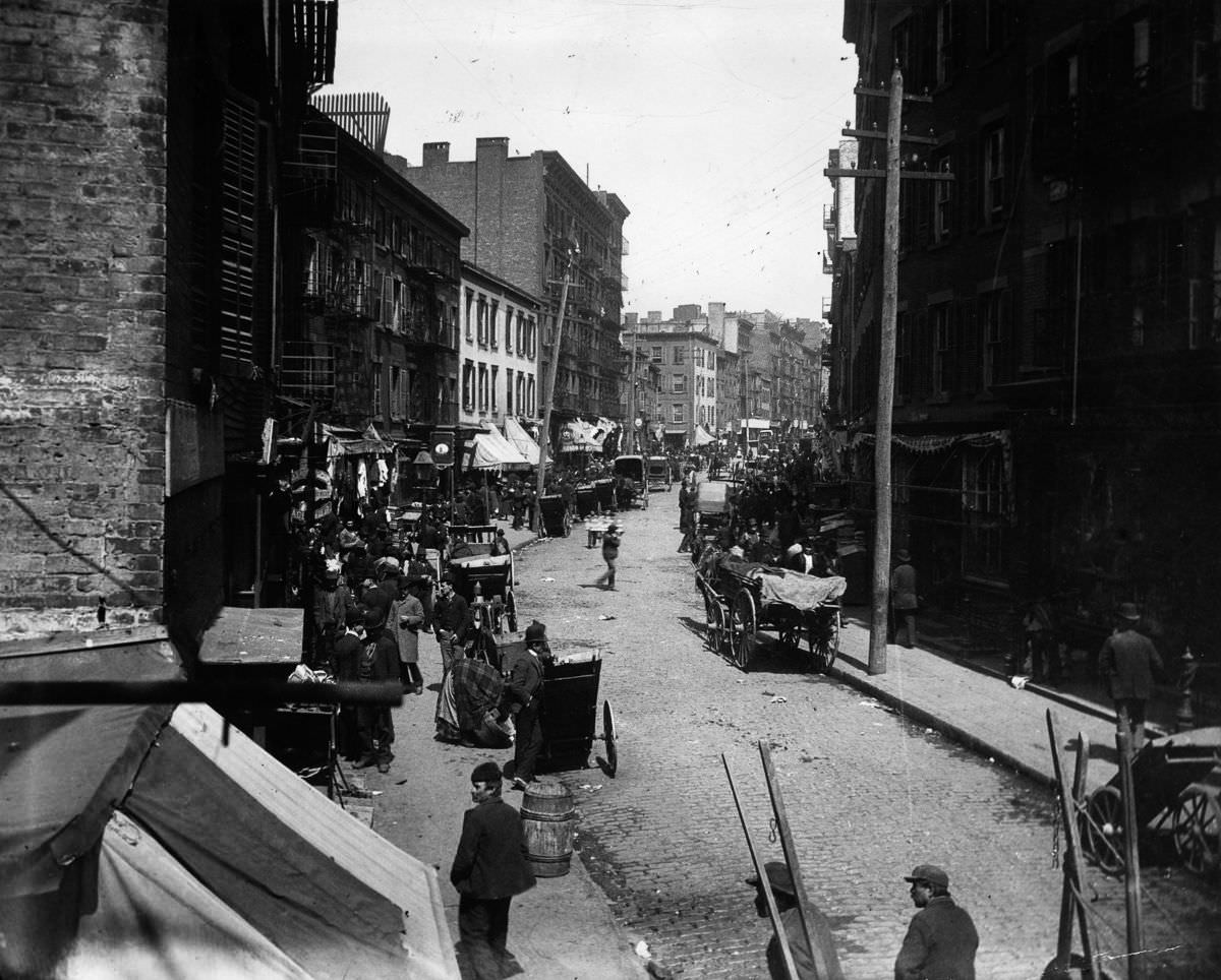 The Mulberry Bend area in Little Italy, 1890.